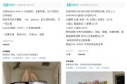 双向出轨闲鱼：LABUBU搜索量环比上涨1000%，供不应求下现租赁新形式