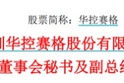 双向出轨华控赛格董事长、董秘、副总经理三高管同日辞职