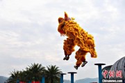 双向出轨（文化中国行）壮乡狮舞闯南洋：脚踏“云桩” 饮誉海内外