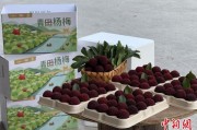 双向出轨高速赋能产业升级：一条“杨梅路”的致富密码